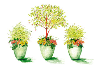 Pot design illustration for U of W Botanical Garden
