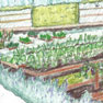 Snoqualmie Gourmet Ice Cream Edible Garden plan, hand illustrated